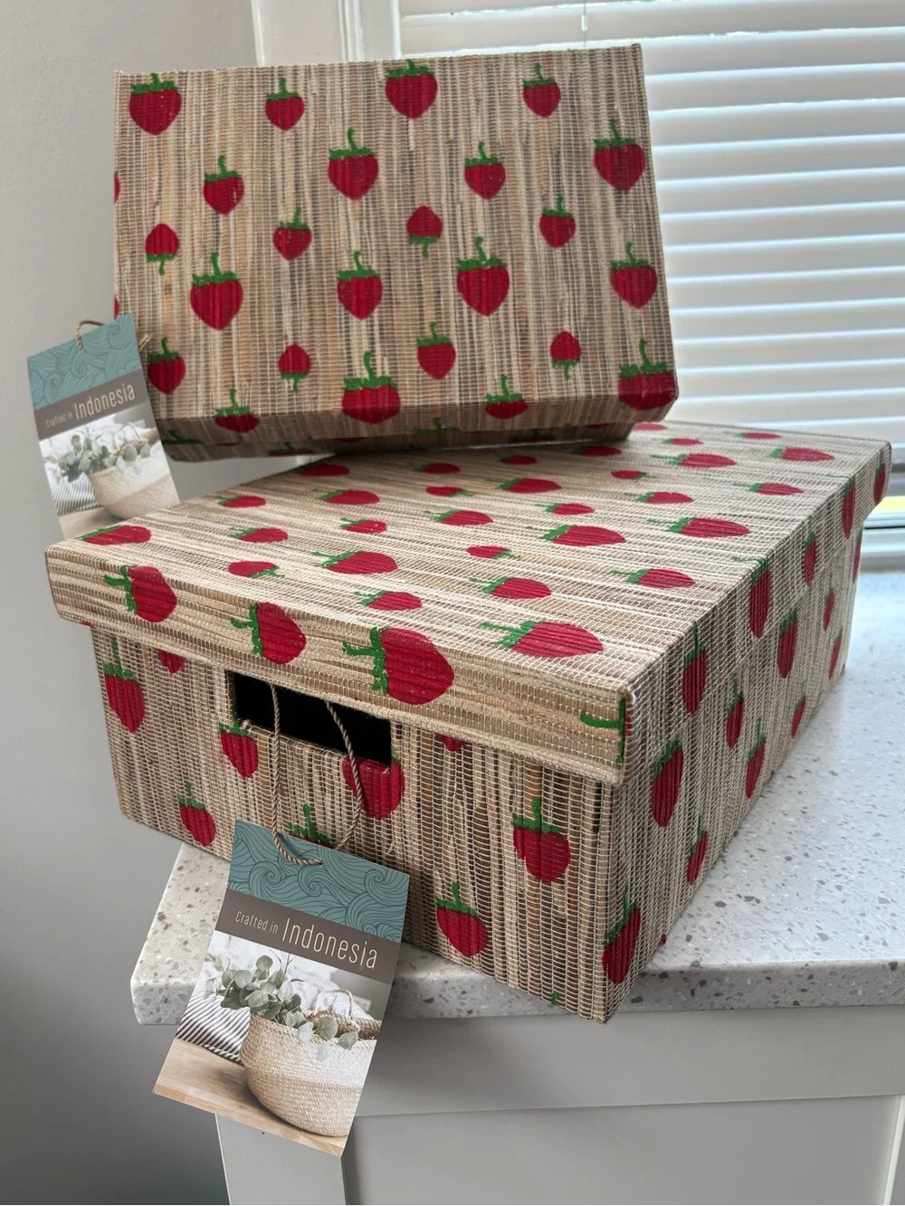 NWT Straw Woven Storage Boxes with Red Strawberry Print- 2 pack nesting
